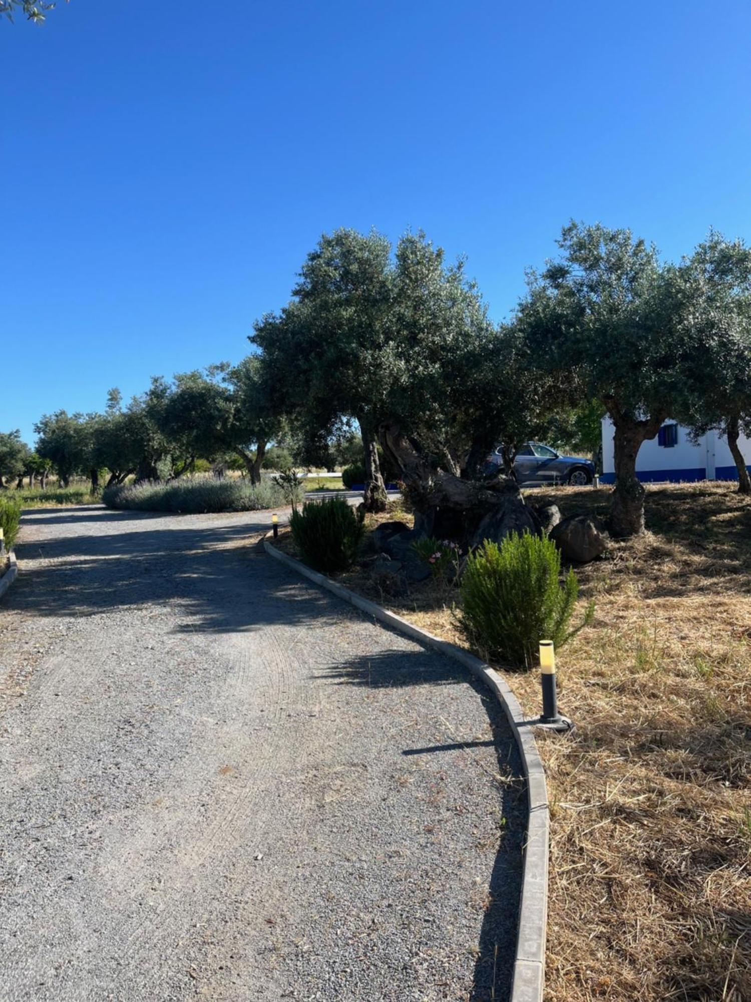 Monte De Santa Maria Villa Monsaraz Buitenkant foto